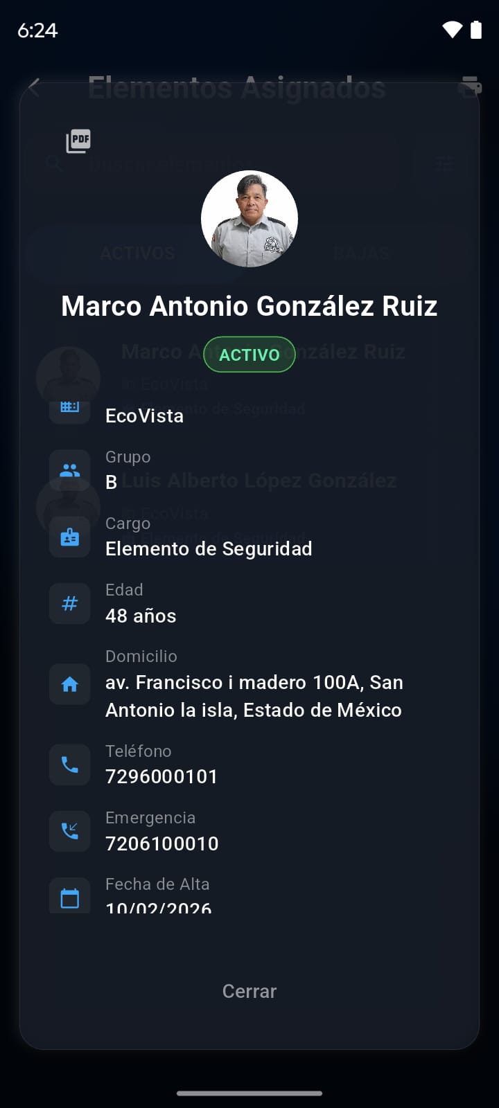 Elementos asignados - detalle del elemento